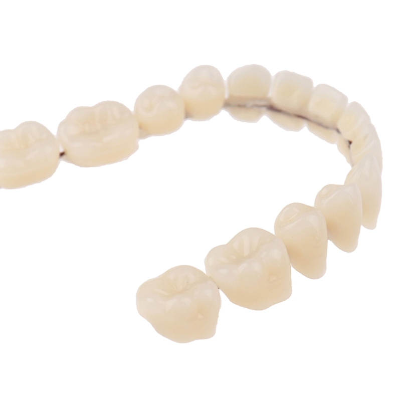 Resin Teeth Denture Upper Lowe - Teeth Whitening Mask review and price